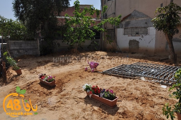 jwala 3amidar3 (14).JPG